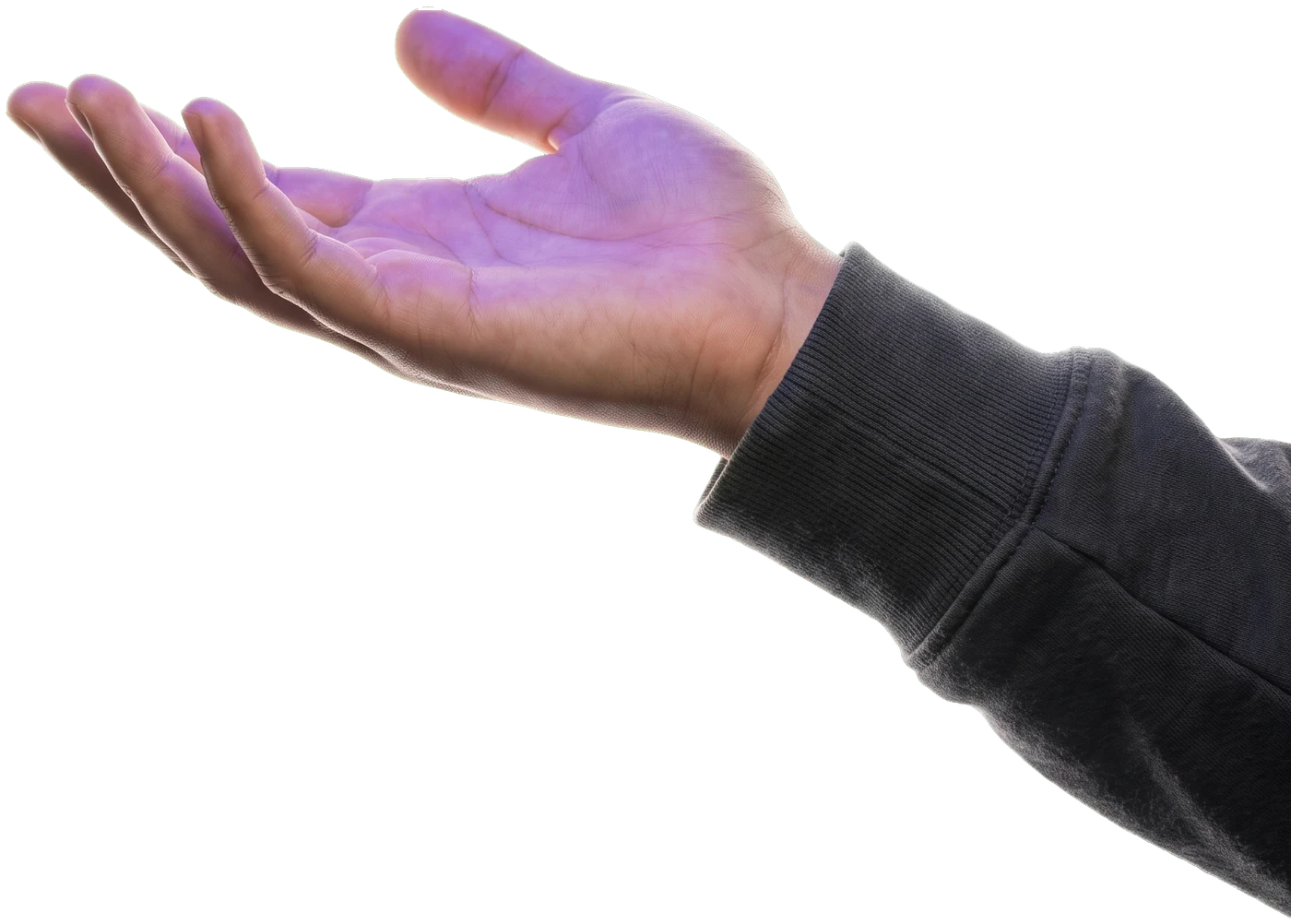 Open palm held up to summon the voice pet